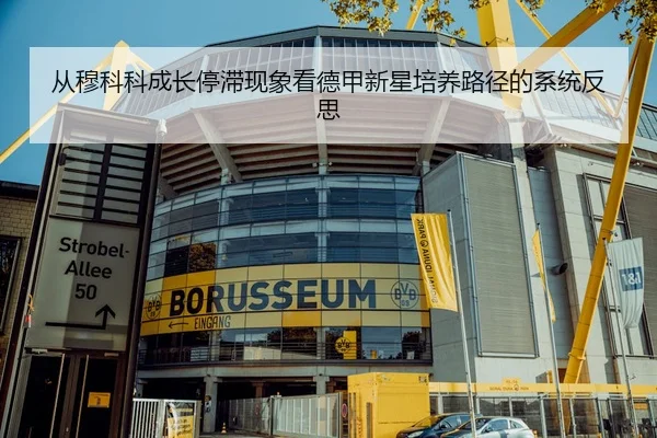 从穆科科成长停滞现象看德甲新星培养路径的系统反思