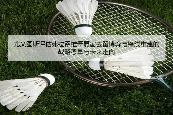 尤文图斯评估弗拉霍维奇夏窗去留博弈与锋线重建的战略考量与未来走向